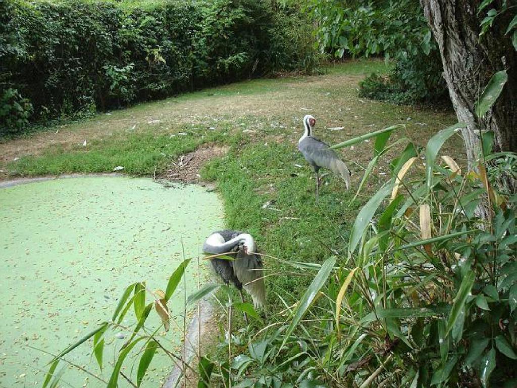 149 BIO PARC DE DOUE LA FONTAINE 5- 2016_000019.jpg